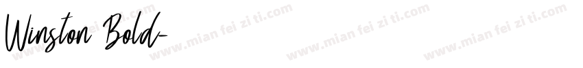 Winston Bold字体转换